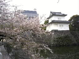 Oita Castle Park 