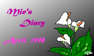 diary,